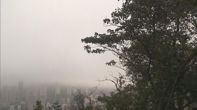 無綫新聞 TVB News