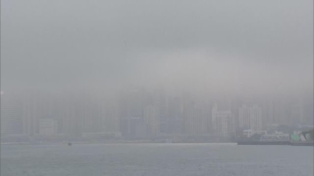 無綫新聞 TVB News
