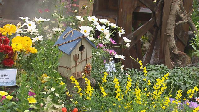 無綫新聞 TVB News