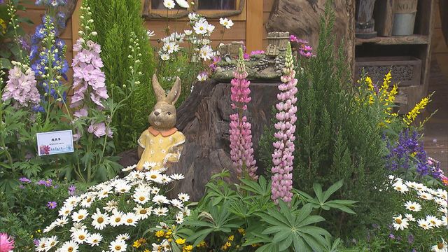 無綫新聞 TVB News