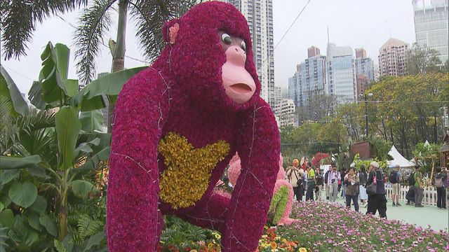 無綫新聞 TVB News