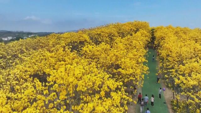 無綫新聞 TVB News 無綫新聞 TVB News