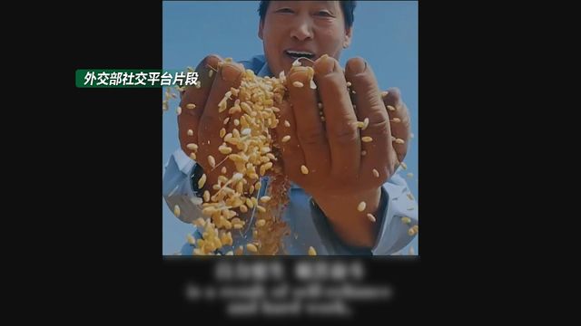 無綫新聞 TVB News 無綫新聞 TVB News