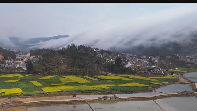無綫新聞 TVB News