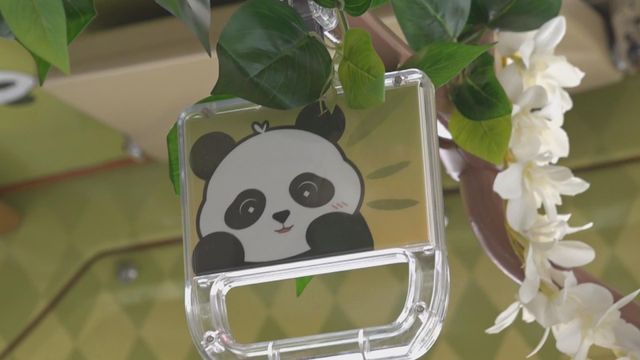 無綫新聞 TVB News 無綫新聞 TVB News