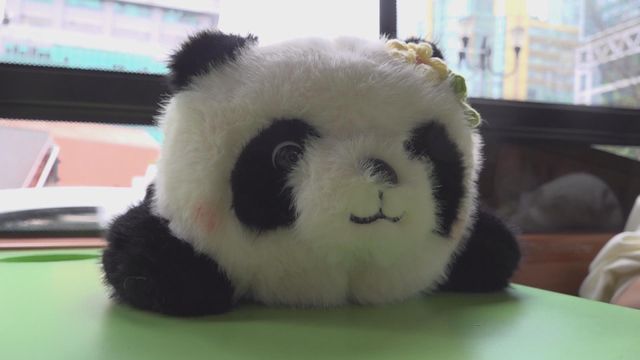 無綫新聞 TVB News 無綫新聞 TVB News