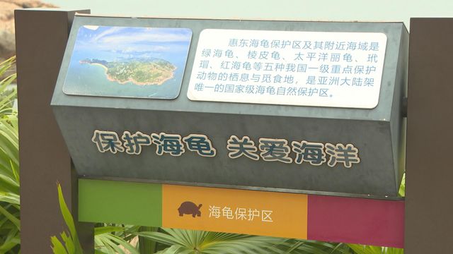 無綫新聞 TVB News 無綫新聞 TVB News