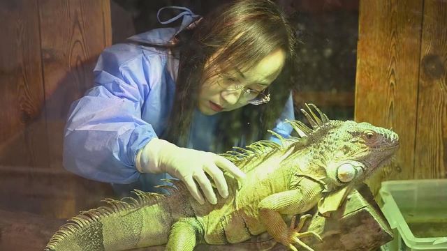 無綫新聞 TVB News 無綫新聞 TVB News
