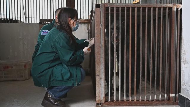 無綫新聞 TVB News 無綫新聞 TVB News
