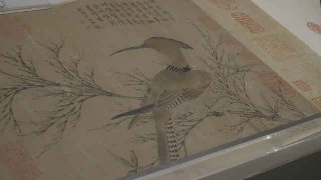 無綫新聞 TVB News 無綫新聞 TVB News