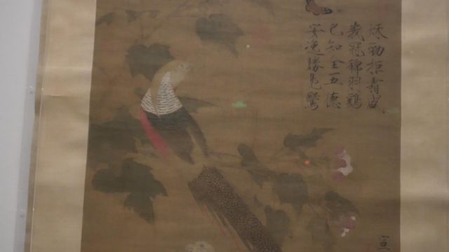 無綫新聞 TVB News 無綫新聞 TVB News