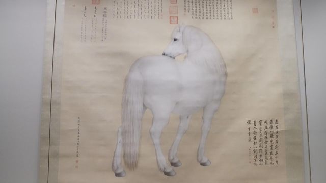 無綫新聞 TVB News 無綫新聞 TVB News