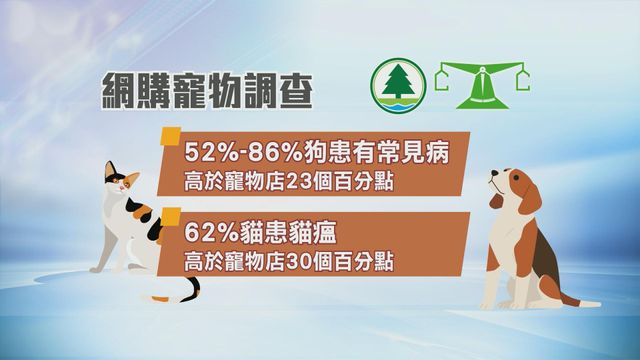 無綫新聞 TVB News 無綫新聞 TVB News