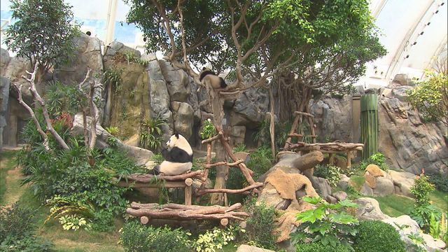 無綫新聞 TVB News 無綫新聞 TVB News