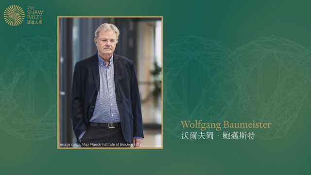 無綫新聞 TVB News 無綫新聞 TVB News