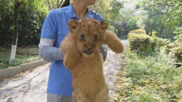 無綫新聞 TVB News