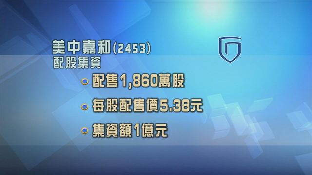 美中嘉和配股集資逾億元