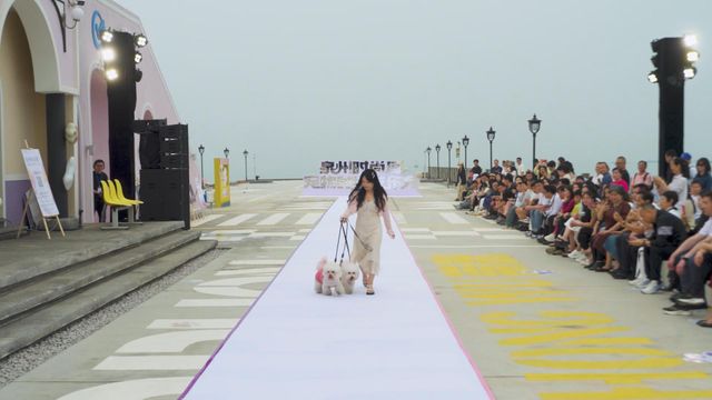 無綫新聞 TVB News