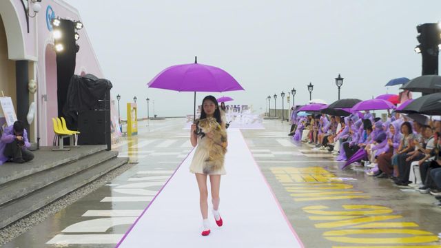 無綫新聞 TVB News