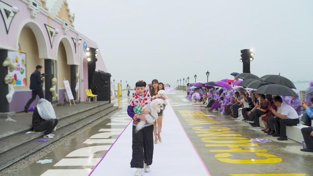 無綫新聞 TVB News