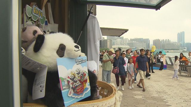 無綫新聞 TVB News 無綫新聞 TVB News
