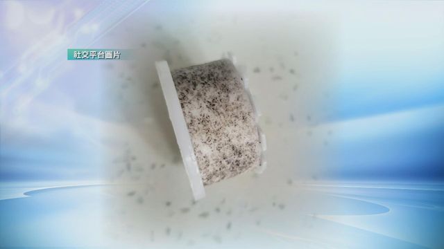 無綫新聞 TVB News 無綫新聞 TVB News