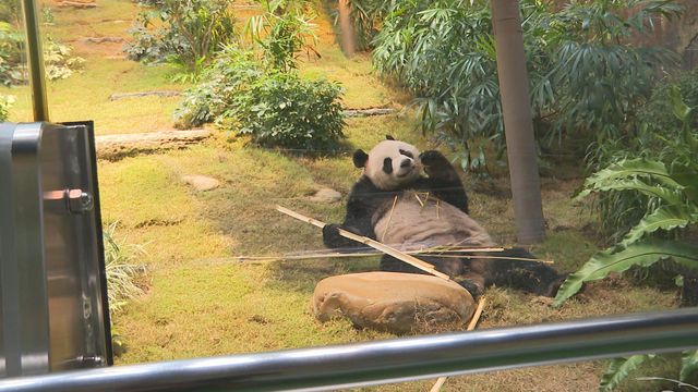 無綫新聞 TVB News 無綫新聞 TVB News