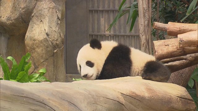 無綫新聞 TVB News 無綫新聞 TVB News