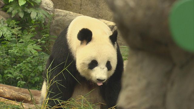 無綫新聞 TVB News 無綫新聞 TVB News