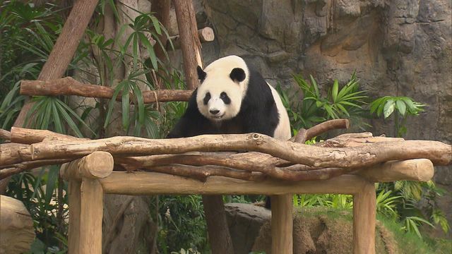 無綫新聞 TVB News 無綫新聞 TVB News
