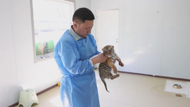無綫新聞 TVB News