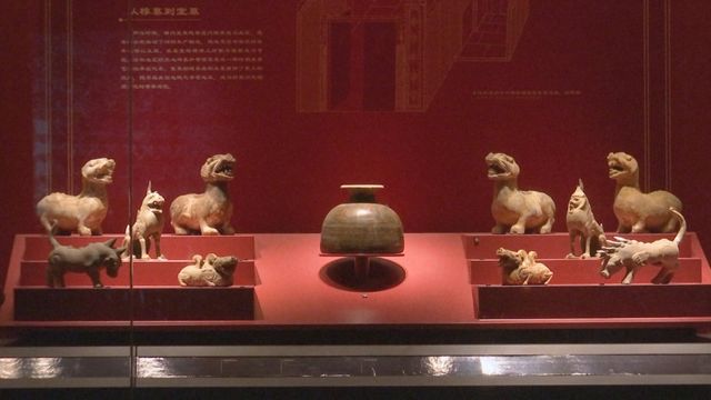 無綫新聞 TVB News