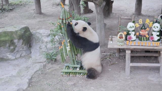無綫新聞 TVB News