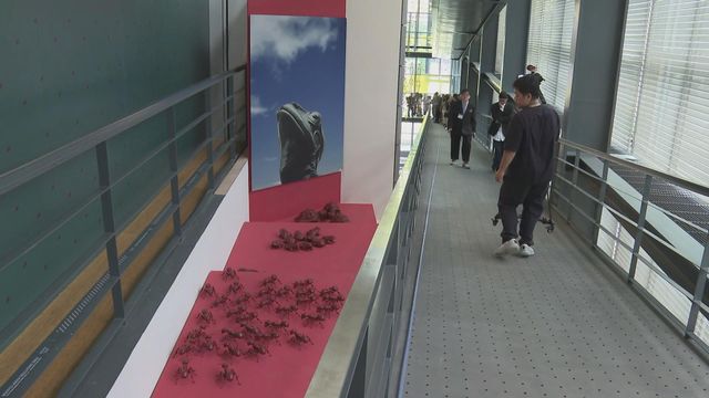 無綫新聞 TVB News 無綫新聞 TVB News