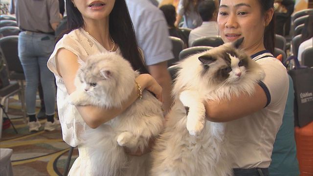 無綫新聞 TVB News 無綫新聞 TVB News