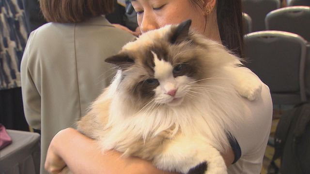 無綫新聞 TVB News 無綫新聞 TVB News