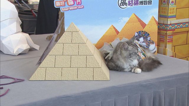 無綫新聞 TVB News 無綫新聞 TVB News