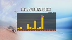 時事多面睇|當局指基孔肯雅熱傳入香港風險相當高 市民如何提防呢? 時事多面睇|當局指基孔肯雅熱傳入香港風險相當高 市民如何提防呢?