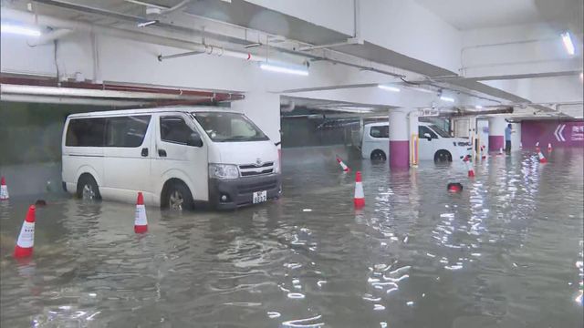 無綫新聞 TVB News