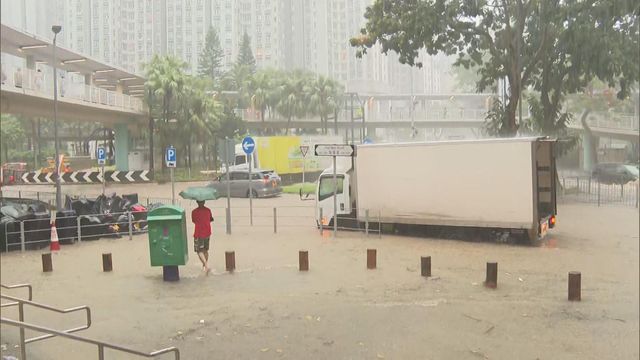 無綫新聞 TVB News