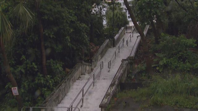 無綫新聞 TVB News