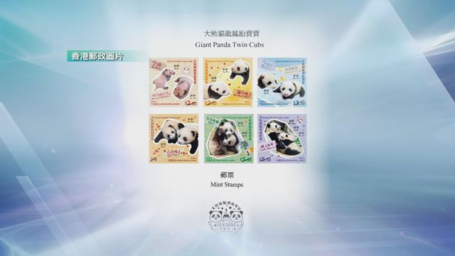 無綫新聞 TVB News