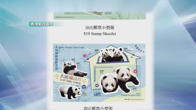 無綫新聞 TVB News