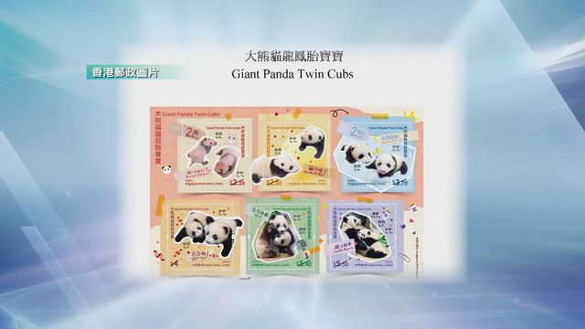 無綫新聞 TVB News