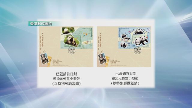 無綫新聞 TVB News