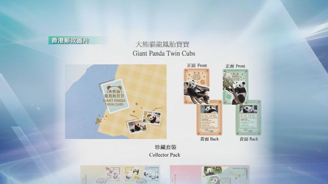 無綫新聞 TVB News
