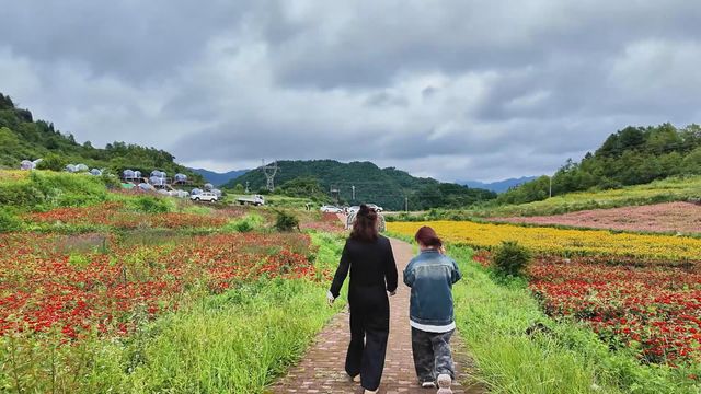 無綫新聞 TVB News 無綫新聞 TVB News