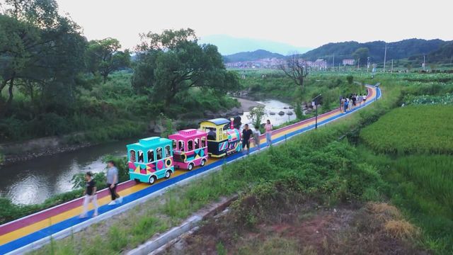 無綫新聞 TVB News