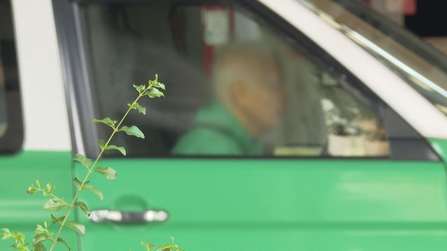 時事多面睇｜高齡駕駛安全響警號　議員批體檢寬鬆促收緊