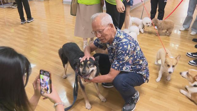 無綫新聞 TVB News
